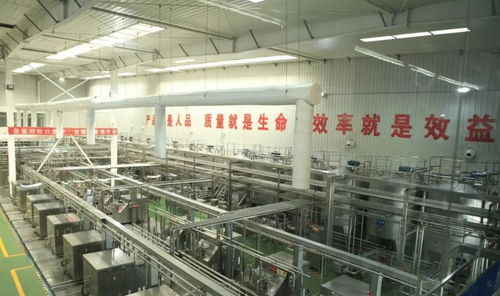 中國飲料界的超級單品 年銷40億罐，鑄就百億餐飲服務帝國